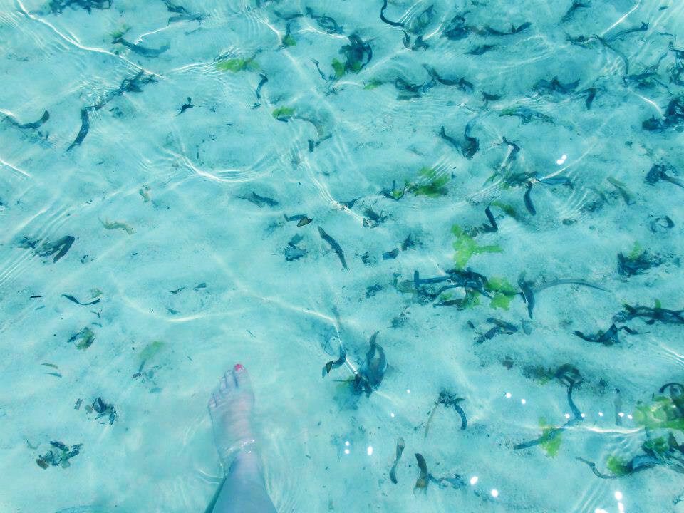 Golven in Diani beach Kenia